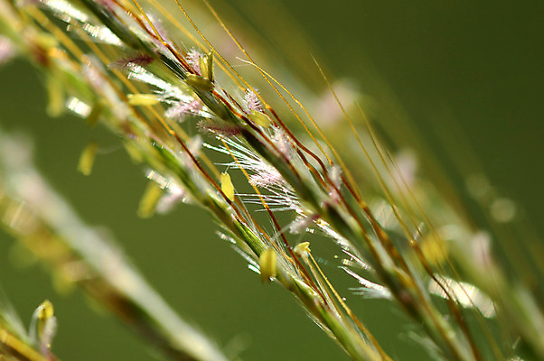 포토 JPG 해외이미지 식물 계절 꽃 백그라운드 잎 농업 자연 하늘 이벤트 사람없음 야외 빨간색 초록색 파란색 컬러풀 햇빛 노란색 정원 보라색 벚꽃 광선 흰색 나뭇가지 축하 신선 개화 닫기 땅 꽃집 허브 엽서 열정 양귀비 강렬 고립 해외202004 해외포토 나무 감정 산업 컬러 컨셉 모션 태양 상점 편지 생태계 파일형식 이미지허브