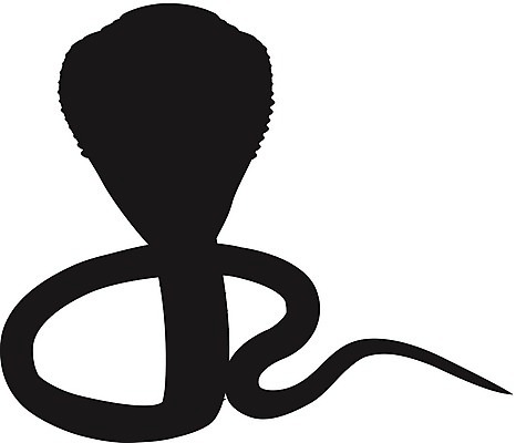 EPS 해외이미지 동물 디자인 실루엣 별 일러스트 파충류 휴가 새로움 흑백 미술 동양인 그래픽 검은색 중국 달력 흰색 독약 뱀 재산 혀 연도 문신 심볼 사인 그림 점성술 신화 동쪽 스트라이크 해외202004 해외일러스트 자연요소 아시아 컬러 컨셉 문화예술 촬영기법 인종 금융 입 방향 파일형식 벡터 이미지허브