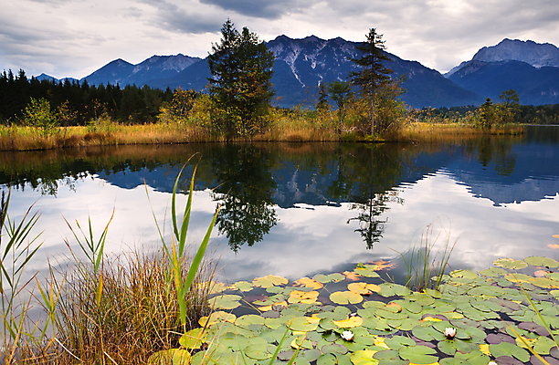 포토 JPG 해외이미지 나무 식물 꽃 호수 여행 자연 하늘 표면 날씨 산 독일 풍경 사람없음 야외 초록색 물 습기 가을 연못 숲 백합 9월 알프스 바이에른 바이에른사람 해외202004 해외포토 자연요소 계절 유럽 컬러 날짜 생태계 파일형식 이미지허브