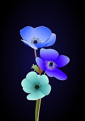 EPS 해외이미지 식물 템플릿 디자인 꽃 꽃다발 결혼 백그라운드 잎 겨울 꽃무늬 일러스트 자연 휴가 수채화 프레임 미술 장식 여름 세트 유행 정원 화환 봄 수확 나뭇가지 시골 축하 신용카드 고급 우아함 인쇄 스케치 수집 그림 초대 손그림 아이비 엘리먼트 유칼립투스 이국적 그리너리 해외202004 해외일러스트 나무 계절 컨셉 무늬 농업 문화예술 이벤트 금융 생태계 파일형식 벡터 트랜드컬러 이미지허브