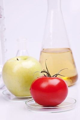 포토 JPG 해외이미지 음식 과학 농업 토마토 과일 자연 실험 주사기 사람없음 약 흰색 실험실 사과 DNA 생명공학 약국 과학자 유기농 주사약 유전 화학물질 해외202004 해외포토 직업 웰빙 산업 컬러 채소 의학 의료기기 화학 생태계 학자 파일형식 이미지허브