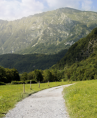 포토 JPG 해외이미지 구름 도로 자연 하늘 산 풍경 사람없음 야외 초록색 여름 파란색 일몰 성장 농촌 신선 야간 숲 오솔길 땅 언덕 우크라이나 평야 해외202004 해외포토 자연요소 계절 유럽 길 컬러 교통시설 노을 시골 생태계 파일형식 이미지허브