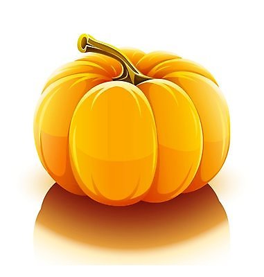 EPS 해외이미지 식물 1 음식 백그라운드 채소 오렌지 과일 일러스트 호박 건강 식사 흰색 원형 오브젝트 그림 박 내추럴 고립 숙성 채식주의자 해외202004 해외일러스트 도형 컬러 채식 파일형식 벡터 이미지허브