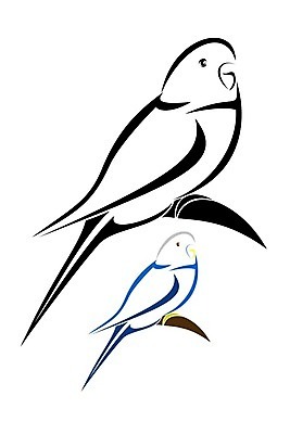 EPS 해외이미지 동물 야생동물 일러스트 자연 조류 주택 초록색 파란색 반려동물 흰색 아기 그룹 작음 스케치 심볼 웨이브 앵무새 고립 동물상 잉꼬 조작 줄서기 해외202004 해외일러스트 컬러 모션 미술 사람 건물 조형물 크기 생태계 파일형식 벡터 이미지허브