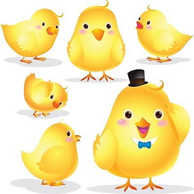 EPS 해외이미지 클립아트 동물 백그라운드 여러마리 일러스트 조류 사람없음 노란색 병아리캐릭터 카툰스타일 해외202004 해외일러스트 컬러 동물캐릭터 다수 병아리 파일형식 벡터 이미지허브