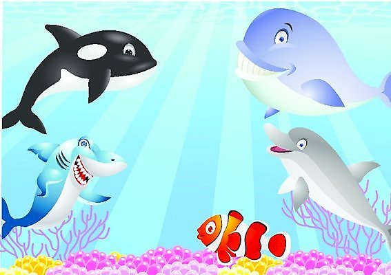 EPS 해외이미지 동물 캐릭터 행복 실루엣 야생동물 파도 바다 일러스트 응원 자연 어류 미술 미소 장식 빨간색 물 여름 파란색 컬러풀 수중 줄무늬 거품 광대 해조류 산호 치아 만화 고래 오브젝트 돌고래 상어 수족관 깊이 마스코트 아네모네 해외202004 해외일러스트 일러캐릭터 자연요소 계절 꽃 감정 컬러 무늬 포유류 문화예술 촬영기법 표정 수중동물 소화기관 해양식물 자포동물 생태계 파일형식 벡터 이미지허브