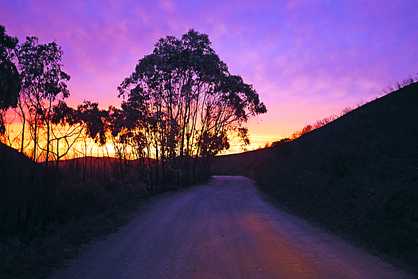 포토 JPG 해외이미지 공원 도로 모래 파도 바다 교통시설 자연 사람없음 야외 물 일몰 포르투갈 유칼립투스 흙길 해외202004 해외포토 자연요소 식물 공공시설 유럽 길 교통 노을 흙 시설 생태계 파일형식 이미지허브