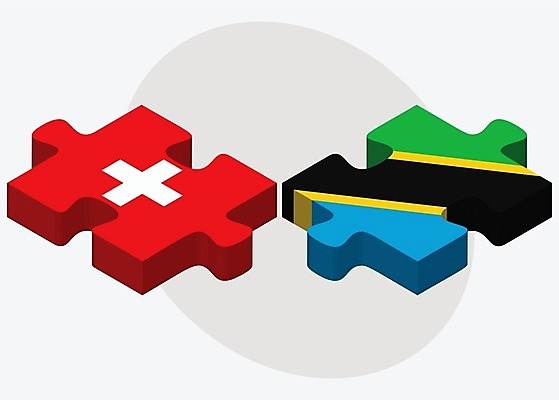 EPS 해외이미지 유럽 조각 컨셉 일러스트 관계 협력 함께함 사람 그래픽 3D 깃발 퍼즐 연결 결합 접속 스위스 오브젝트 흰배경 나눔 해결 고립 공화국 베른 전국 정부 정치 탄자니아 통일 해외202004 해외일러스트 나라 아프리카 흰색 디지털합성 파일형식 벡터 컬러 이미지허브