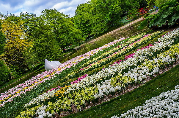 포토 JPG 해외이미지 나무 식물 계절 꽃잎 꽃 줄기 분홍색 꽃다발 백그라운드 잎 꽃무늬 밭 자연 휴가 발렌타인데이 선물 사람없음 초록색 파란색 노란색 정원 봄 튤립 벚꽃 흰색 물방울 신선 떨어짐 네덜란드 수선화 천연기념물 내추럴 암스테르담 고립 해외202004 해외포토 유럽 컬러 컨셉 무늬 농업 데이이벤트 생태계 파일형식 이미지허브