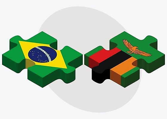 EPS 해외이미지 조각 컨셉 일러스트 관계 아프리카 협력 함께함 사람 그래픽 3D 깃발 퍼즐 연결 결합 접속 오브젝트 흰배경 나눔 브라질 해결 고립 잠비아 전국 정부 정치 통일 브라질사람 해외202004 해외일러스트 나라 백그라운드 흰색 남아메리카 디지털합성 파일형식 벡터 이미지허브