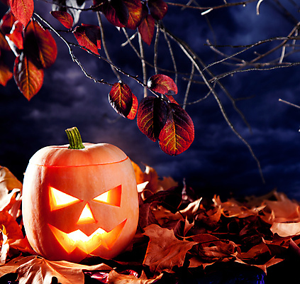 JPG 해외이미지 단풍 낙엽 호박 사람없음 할로윈 오브젝트 잭오랜턴 해외202004 해외포토 포토 잎 채소 파일형식 이미지허브