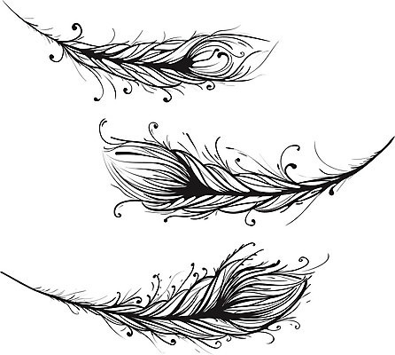 EPS 해외이미지 선 곡선 일러스트 캘리그라피 자연 조류 잉크 3 미술 파란색 빛 세트 검은색 흰색 화려 우아함 매끈함 깃털 오브젝트 그림 솜털 고립 깃털펜 복잡 엘리먼트 해외202004 해외일러스트 동물 컬러 컨셉 문화예술 펜 감각 생태계 파일형식 벡터 이미지허브