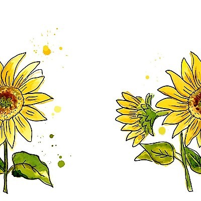 EPS 해외이미지 꽃잎 꽃 백그라운드 잎 꽃무늬 패턴 일러스트 해바라기 사람없음 컬러풀 노란색 원형 해외202004 해외일러스트 도형 식물 컬러 무늬 파일형식 벡터 이미지허브