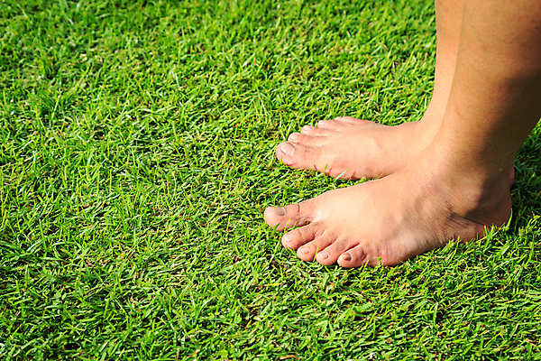 포토 JPG 해외이미지 여자 백그라운드 맨발 발 자연 건강 잔디 사람없음 초록색 걷기 봄 산책 자유 정상 부드러움 돌봄 벌거벗은 양발 해외202004 해외포토 식물 계절 컬러 컨셉 모션 휴식 사람 신체부위 감각 생태계 파일형식 이미지허브