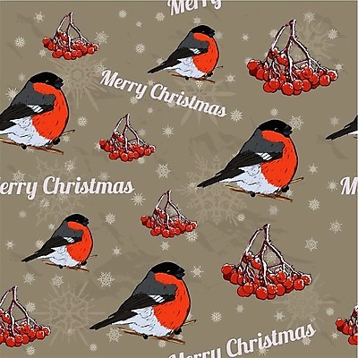 EPS 해외이미지 모양 식물 템플릿 전통 디자인 계절 백그라운드 크리스마스 겨울 패턴 일러스트 벽지 조류 지팡이 휴가 사탕 선물 그래픽 장식 축제 수확 축하 직물 인사 신용카드 눈송이 12월 심볼 질감 복고 엘리먼트 해외202004 해외일러스트 동물 기념일 컨셉 무늬 농업 디저트 눈_날씨 금융 예절 날짜 파일형식 벡터 이미지허브