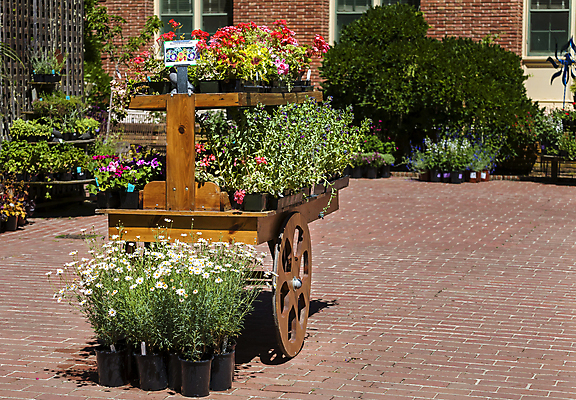 포토 JPG 해외이미지 식물 계절 공원 꽃잎 꽃 문화 분홍색 여행 백그라운드 잎 꽃무늬 밭 오렌지 자연 하늘 연꽃 풍경 사람없음 야외 장식 빨간색 물 여름 파란색 빛 컬러풀 햇빛 노란색 정원 맑음 보라색 봄 활발 벚꽃 흰색 연못 신선 개화 6월 원예 장면 내추럴 패드 해외202004 해외포토 자연요소 공공시설 컬러 컨셉 무늬 농업 과일 날씨 취미 태양 날짜 생태계 파일형식 이미지허브