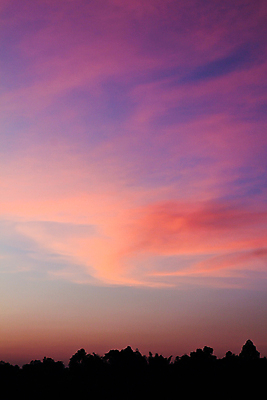 JPG 해외이미지 모양 나무 구름 디자인 실루엣 선 여행 백그라운드 패턴 자연 하늘 추상 휴가 산 미술 풍경 사람없음 빨간색 여름 빛 태양 3D 걷기 일출 황혼 일몰 새벽 가을 뜨거움 숲 질감 서식 마법 천국 넘어짐 삼림지대 수평선 해외202004 해외포토 포토 자연요소 식물 계절 컬러 무늬 모션 문화예술 촬영기법 노을 디지털합성 생태계 파일형식 이미지허브