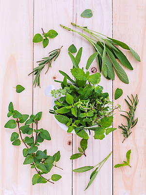 포토 JPG 해외이미지 사람없음 하이앵글 여러개 허브 오브젝트 아로마 아로마테라피 로즈메리 세이지 해외202004 해외포토 식물 뷰포인트 다수 테라피 파일형식 이미지허브