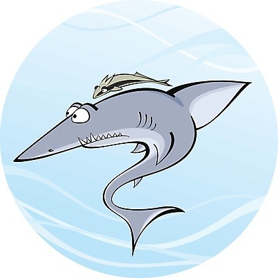 EPS 해외이미지 응시 백그라운드 일러스트 어류 웃음 물 파란색 반려동물 수중 그리기 치아 그림 웨이브 지느러미 상어 고립 테마 해외202004 해외일러스트 자연요소 동물 시선 컬러 모션 표정 수중동물 소화기관 파일형식 벡터 이미지허브