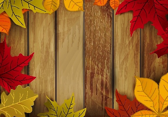 EPS 해외이미지 디자인 계절 벽 백그라운드 단풍 잎 패턴 오렌지 일러스트 자연 벽지 표면 추상 프레임 목재 장식 가로 빨간색 세로 초록색 컬러풀 갈색 노란색 우주 공백 수확 가을 거친 가장자리 묘사 부식 질감 복고 분열 그런지 옛날 카피스페이스 해외202004 해외일러스트 나무 식물 컬러 무늬 농업 과일 재료 둘레 생태계 파일형식 벡터 이미지허브