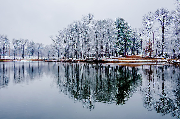 포토 JPG 해외이미지 겨울 자연 하늘 사람없음 물 반사 추위 흰색 나뭇가지 연못 도시 12월 지역 폭풍 해외202004 해외포토 자연요소 나무 계절 컬러 날씨 날짜 생태계 파일형식 이미지허브