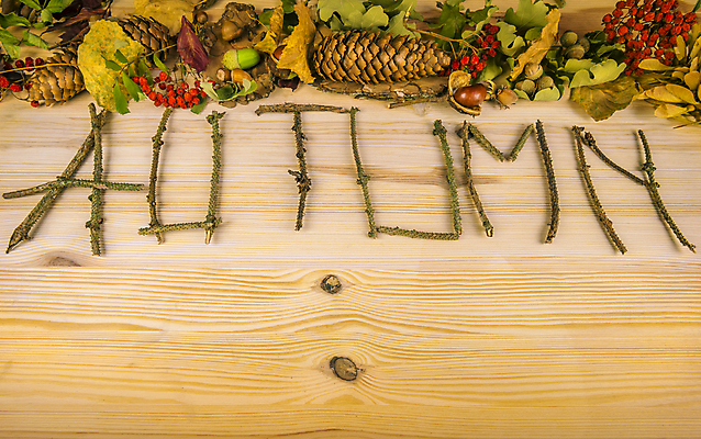 포토 JPG 해외이미지 디자인 계절 백그라운드 컨셉 단풍 잎 텍스트 자연 탁자 프레임 건조 사람없음 목재 장식 단어 컬러풀 견과류 가을 나뭇가지 시골 기록 숲 11월 편지 땅콩 추수감사절 해외202004 해외포토 나무 식물 문자 기독교 컬러 가구 재료 날짜 생태계 파일형식 이미지허브