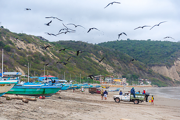 포토 JPG 해외이미지 전통 산업 문화 모래 바다 여행 자동차 갈매기 조류 하늘 낚시 노동자 산 어류 사람 풍경 사람없음 목재 물 컬러풀 마을 미국 그물 보트 남아메리카 해산물 함선 통나무 태평양 커뮤니티 에콰도르 타운 장인 남쪽 해외202004 해외포토 자연요소 나무 동물 직업 육상교통 컬러 북아메리카 배_교통 재료 레저 아메리카 수중동물 도시 방향 파일형식 이미지허브