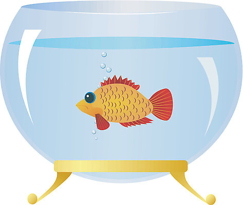 EPS 해외이미지 동물 척추동물 캐릭터 디자인 바다 일러스트 자연 벽지 왕관 어류 미술 그래픽 장식 물 반려동물 세계 검은색 수중 표현 신선 그리기 황금 우아함 작음 만화 아래 그림 꼬리 금붕어 수족관 판화 활기 고립 그런지 대칭 무료 해외202004 해외일러스트 일러캐릭터 자연요소 컬러 컨셉 모션 문화예술 수중동물 크기 방향 생태계 위치 파일형식 벡터 이미지허브