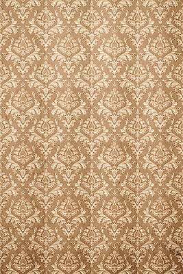 포토 JPG 해외이미지 디자인 꽃 종이 벽 백그라운드 잎 꽃무늬 패턴 일러스트 벽지 미술 사람없음 장식 갈색 어둠 수확 골동품 직물 재산 황금 고급 우아함 실크 묘사 질감 복고 캔버스 그런지 르네상스 바로크 빅토리아 엘리먼트 옛날 회복 해외202004 해외포토 식물 컬러 컨셉 무늬 농업 문화예술 금융 파일형식 이미지허브