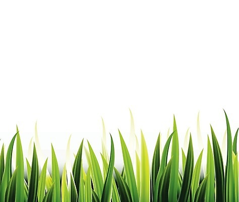 EPS 해외이미지 식물 디자인 배너 계절 컨셉 잎 꽃무늬 일러스트 자연 휴식 초록색 빛 반사 3D 정원 웹 봄 성장 신선 칼날 허브 묘사 흰배경 화살촉 망사 내추럴 고립 생태학 해외202004 해외일러스트 교육 꽃 컬러 백그라운드 무늬 인터넷 화살 흰색 직물 디지털합성 생태계 파일형식 벡터 이미지허브