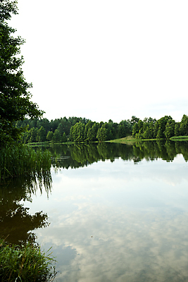 포토 JPG 해외이미지 나무 식물 구름 호수 잎 자연 하늘 풍경 사람없음 초록색 물 여름 파란색 반사 저수지 숲 폴란드 해외202004 해외포토 자연요소 계절 유럽 컬러 생태계 파일형식 이미지허브