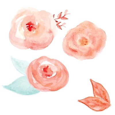 EPS 해외이미지 꽃 분홍색 잎 오렌지 일러스트 추상 수채화 빨간색 노란색 보라색 활발 그리기 해외202004 해외일러스트 식물 컬러 컨셉 무늬 과일 모션 파일형식 벡터 이미지허브