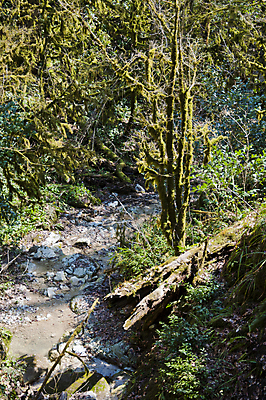 포토 JPG 해외이미지 나무 식물 손 계절 잎 자연 손잡이 이끼 사람없음 야외 초록색 울타리 상자 정원 봄 성장 칼날 닫기 발굴 원예 클립 날카로움 다듬기 돌봄 옛날 울퉁불퉁 원예사 제목 그리너리 해외202004 해외포토 직업 컬러 모션 취미 신체부위 담장 생태계 파일형식 트랜드컬러 이미지허브