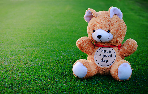 포토 JPG 해외이미지 동물 공원 행복 어린이 인형 백그라운드 곰 자연 놀이 선물 사랑 앉기 사람없음 초록색 장난감 소풍 갈색 정원 흰색 아기 부드러움 해외202004 해외포토 공공시설 감정 컬러 포유류 모션 사람 야외활동 감각 생태계 파일형식 이미지허브