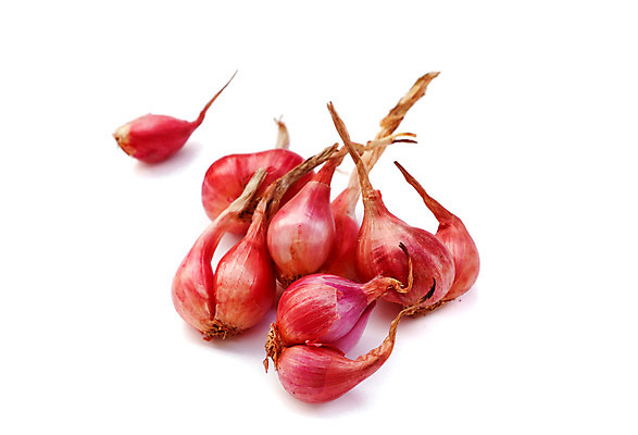 포토 JPG 해외이미지 식물 음식 백그라운드 다이어트 채소 재료 전구 양파 건강 요리 사람없음 빨간색 보라색 흰색 시골 신선 그룹 달콤 먹기 향신료 묘사 오브젝트 유기농 매움 날것 슬라이스 향기 뿌리 향 라일락 내추럴 연소 고립 숙성 입가심 채식주의자 해외202004 해외포토 웰빙 꽃 컬러 모션 맛 채식 냄새 향미료 파일형식 이미지허브