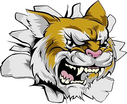 EPS 해외이미지 동물 캐릭터 종이 얼굴 스포츠 백그라운드 일러스트 학교 산 머리 금속 고양이 분노 흰색 구멍 호랑이 사자 문신 찢어짐 격파 고립 마스코트 몬스터 재규어 해외202004 해외일러스트 일러캐릭터 교육 감정 컬러 포유류 모션 재질 신체부위 반려동물 파일형식 벡터 이미지허브