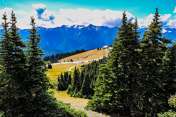 포토 JPG 해외이미지 나무 동물 구름 공원 꽃 백그라운드 올림픽 자연 벽지 하늘 산 풍경 사람없음 초록색 여름 파란색 계곡 미국 하이킹 황무지 클래식 숲 큼 언덕 산등성이 태평양 방문 서쪽 워싱턴 전국 허리케인 해외202004 해외포토 자연요소 식물 계절 공공시설 스포츠 바다 컬러 컨셉 북아메리카 레저 크기 자연재해 방향 생태계 파일형식 이미지허브