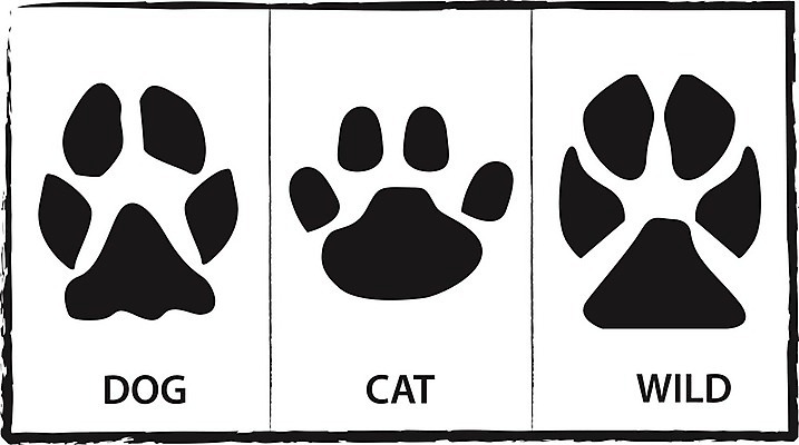 EPS 해외이미지 동물 디자인 실루엣 야생동물 백그라운드 패턴 일러스트 포유류 자연 추상 그래픽 반려동물 세트 검은색 고양이 흰색 개 강아지 인쇄 발자국 수집 심볼 질감 발가락 단계 고립 양발 집게발 해외202004 해외일러스트 컬러 무늬 자국 발 촬영기법 생태계 파일형식 벡터 이미지허브