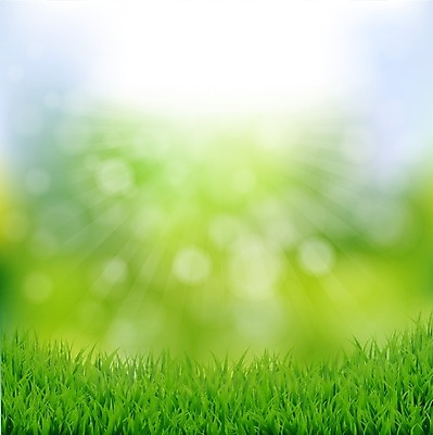 EPS 해외이미지 디자인 계절 공원 백그라운드 잎 밭 일러스트 자연 하늘 추상 미술 잔디 초록색 여름 빛 컬러풀 태양 정원 봄 신선 소프트포커스 자연백그라운드 녹색배경 해외202004 해외일러스트 자연요소 식물 공공시설 컬러 무늬 농업 문화예술 촬영기법 생태계 파일형식 벡터 이미지허브