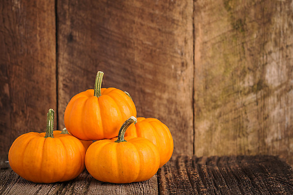 포토 JPG 해외이미지 계절 음식 백그라운드 채소 오렌지 자연 호박 날씨 사람없음 목재 장식 가을 시골 숙성 해외202004 해외포토 나무 과일 재료 생태계 파일형식 이미지허브