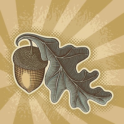 EPS 해외이미지 식물 백그라운드 잎 패턴 일러스트 자연 장식 선탠 복고 도토리 그런지 목판화 세피아 해외202004 해외일러스트 무늬 촬영기법 견과류 생태계 파일형식 벡터 이미지허브