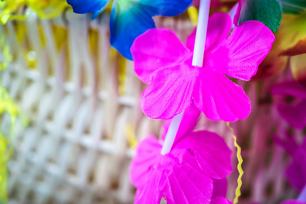 포토 JPG 해외이미지 식물 꽃잎 꽃 분홍색 꽃다발 꽃무늬 자연 휴가 사람없음 장식 빨간색 초록색 노란색 정원 보라색 봄 튤립 벚꽃 신선 난초 하와이인 해외202004 해외포토 외국인 계절 컬러 무늬 생태계 파일형식 이미지허브