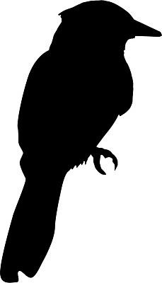 EPS 해외이미지 모양 동물 디자인 실루엣 포즈 백그라운드 날개 일러스트 조류 형상 미술 검은색 자유 흰색 문신 깃털 사인 그림 꼬리 물총새 스타일 해외202004 해외일러스트 컬러 컨셉 문화예술 촬영기법 파일형식 벡터 이미지허브