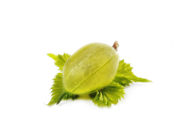 포토 JPG 해외이미지 열매 음식 과일 디저트 건강 사람없음 빨간색 초록색 정원 식사 주스 시장 달콤 잼 먹기 향기 아로마 부드러움 과육 구스베리 채식주의자 해외202004 해외포토 식물 음료 컬러 모션 감각 소스_음식 맛 채식 냄새 파일형식 이미지허브