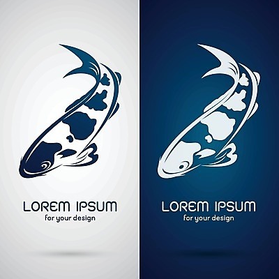 EPS 해외이미지 동물 전통 디자인 배너 아시아 문화 선 백그라운드 패턴 일러스트 자연 어류 미술 동양인 사람없음 그래픽 세로 물 라벨 일본 중국 침묵 흐름 흰색 점 신용카드 행운 문신 심볼 그림 금붕어 지느러미 잉어 고립 이국적 스타일 해외202004 해외일러스트 자연요소 나라 컬러 컨셉 무늬 문화예술 프레임 인종 금융 수중동물 소리 생태계 파일형식 벡터 이미지허브