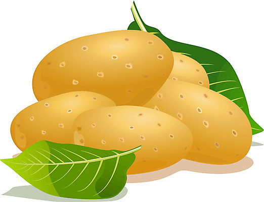 EPS 해외이미지 식물 음식 백그라운드 잎 다이어트 채소 일러스트 새로움 감자 건강 요리 초록색 갈색 노란색 수확 가을 흰색 신선 그룹 달콤 맛 유기농 날것 뿌리 흙더미 강렬 고립 녹말 밭일 생식 채식주의자 탄수화물 해외202004 해외일러스트 웰빙 계절 컬러 컨셉 농업 흙 채식 파일형식 벡터 더미 이미지허브