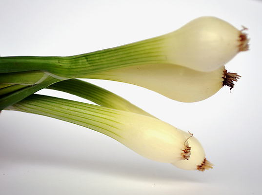 포토 JPG 해외이미지 채소 양파 사람없음 초록색 샐러드 흰색 신선 조직 호흡 굽기 허브 성분 리빙 고립 채식주의자 해외202004 해외포토 식물 음식 컬러 구이 채식 파일형식 이미지허브