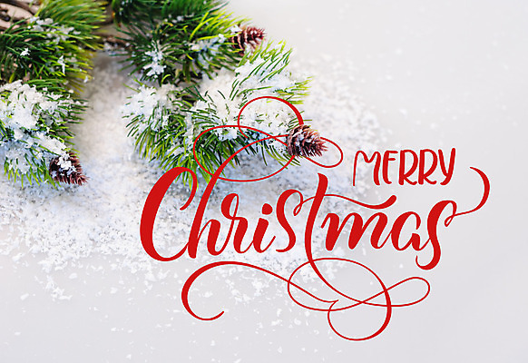 포토 JPG 해외이미지 백그라운드 크리스마스 사람없음 눈 축하 소나무 솔잎 레터링 해외202004 눈덮임 해외포토 자연요소 나무 기념일 컨셉 잎 날씨 파일형식 이미지허브