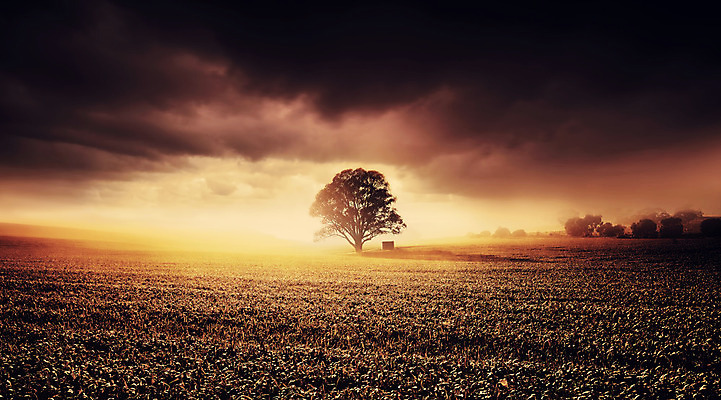 포토 JPG 해외이미지 나무 구름 여행 밭 농업 오렌지 자연 벽지 하늘 파노라마 풍경 사람없음 야외 농장 일출 계곡 일몰 안개 시골 분위기 호주 밀 해외202004 해외포토 자연요소 식물 산업 컨셉 과일 날씨 곡류 촬영기법 노을 오세아니아 생태계 파일형식 이미지허브