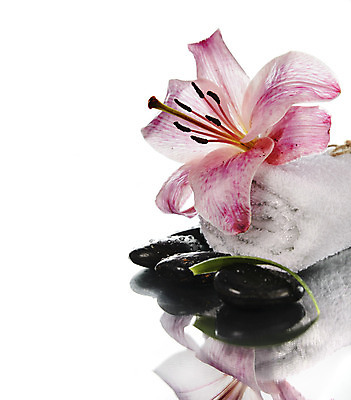 포토 JPG 해외이미지 웰빙 꽃 선 백그라운드 잎 신체 텍스트 자연 휴식 건강 사람없음 치료 초록색 물 수건 약 반사 스파 침묵 목욕 젖음 흰색 물방울 상품 허브 순수 명상 상쾌 휴양지 아로마 부드러움 아로마테라피 테라피 내추럴 고립 돌봄 카피스페이스 해외202004 해외포토 자연요소 식물 감정 컬러 컨셉 의학 모션 위생용품 뷰티 소리 청결 공백 장소 감각 생태계 파일형식 이미지허브